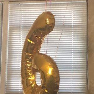 Meet your Posher, Liya